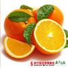 【香甜爽口】南非甜脐橙/金巴利橙 6颗 商品缩略图0
