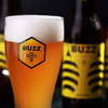 【啤酒爱好者不可错过！】BUZZ蜂狂精酿啤酒 三种口味可选 桂花蜂蜜艾尔，IPA，龙眼蜜拉格 商品缩略图1