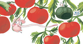 大人如何与孩子共读波米诺？