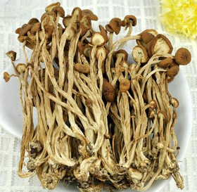 【千岛农品 】茶树菇200g