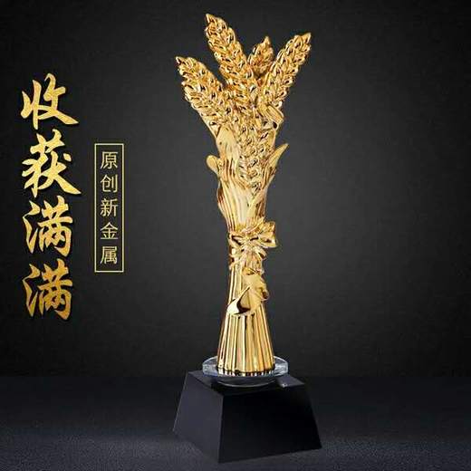 奥斯卡小金人奖杯金属定做创意树脂奖品高档纪念品水晶 定制 刻字 商品图4