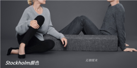 Vifa 斯德哥尔摩 无线蓝牙音箱 音响 wifi音箱 家用音响 重低音音箱 智能（赠天籁之音永久会员）