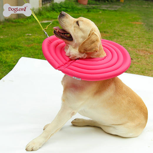 伊丽莎白圈 狗狗猫咪防舔咬宠物耻辱圈软圈猫头套医疗防护罩用品