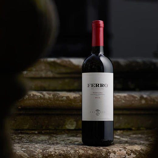 750ml意大利原瓶进口菲洛干红葡萄酒ferro