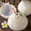 泰国椰皇/奶椰，新鲜椰汁， 果香浓郁，大部分区域顺丰包邮 商品缩略图0