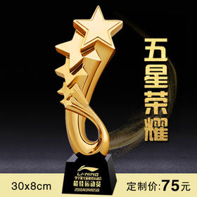 五星荣耀  奖杯定制定做高档优秀员工奖品创意金属奥斯卡小金人冠军奖杯刻字