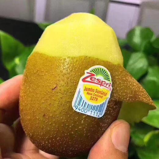 新西兰金果  肉质细腻 甜度高 商品图1