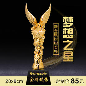 梦想之星  奖杯定制定做高档优秀员工奖品创意金属奥斯卡小金人冠军奖杯刻字