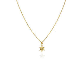 momoko｜6x7mm Mini Star Necklace [项链 2色可选]