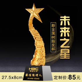 未来之星  奖杯定制定做高档优秀员工奖品创意金属奥斯卡小金人冠军奖杯刻字