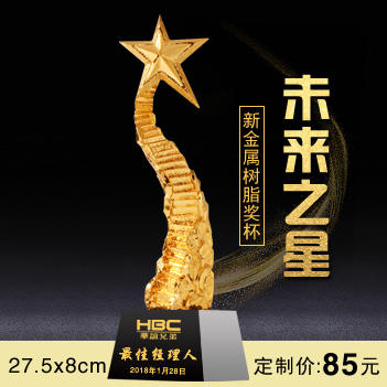 未来之星  奖杯定制定做高档优秀员工奖品创意金属奥斯卡小金人冠军奖杯刻字 商品图0