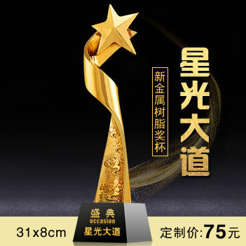 奖杯定制定做高档优秀员工奖品创意金属奥斯卡小金人冠军奖杯刻字 商品图0