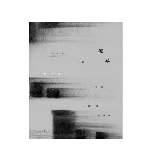 贾行家《潦草》 商品图1