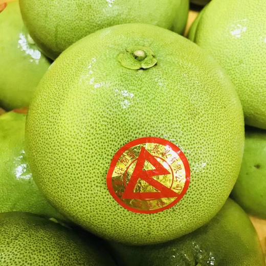 金柚  大号果 水嫩多汁哦~ 商品图0