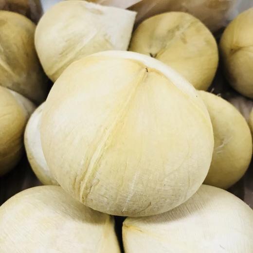 泰国老树椰皇天然健康饮品8只大果