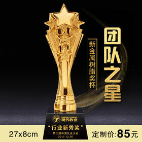 团队之星  奖杯定制定做高档优秀员工奖品创意金属奥斯卡小金人冠军奖杯刻字