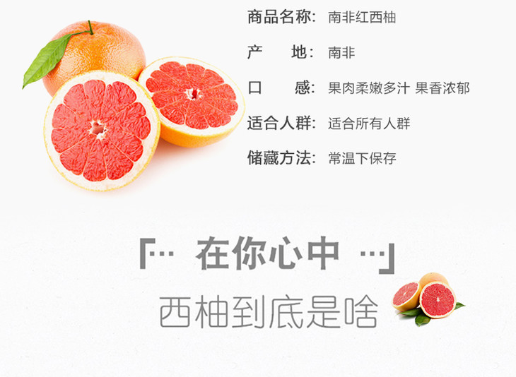南非进口红心西柚新鲜柚子6只装包邮