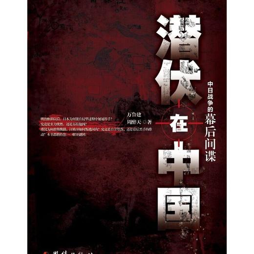 潜伏在中国 商品图0