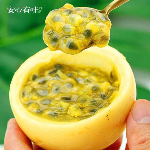 【39.9元团30个】钦蜜9号黄金百香果 直接吃都很甜，放皱后更好吃 商品图1