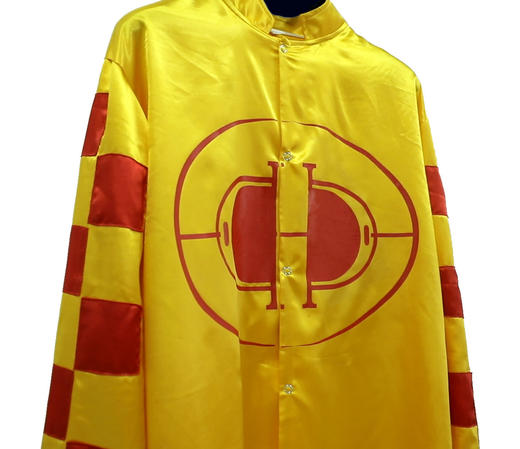 赛马彩衣 优质面料 手工制作 提供原创设计 3件起做 可定制DLM 商品图0