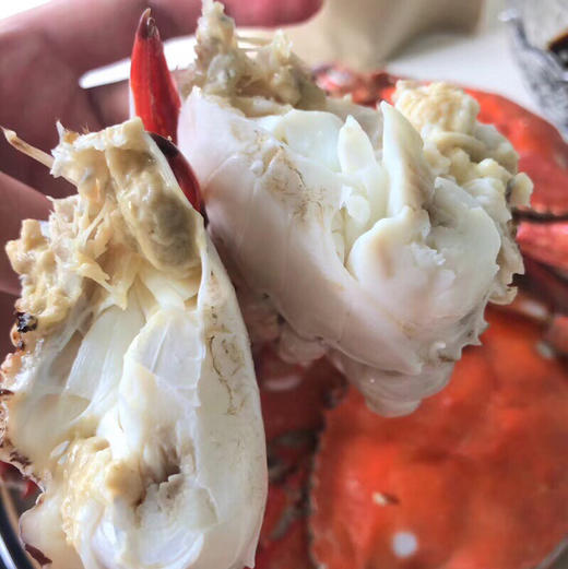 【预定款鲜货】舟山梭子蟹流网蟹，包鲜不包活，味道鲜肥美，想吃的下单预定 商品图4
