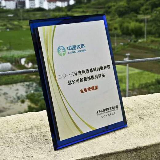 高档水晶授权牌加盟牌定制定做创意水晶奖杯奖牌彩色玻璃代理证书 商品图3