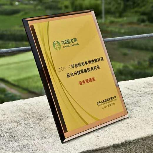 高档水晶授权牌加盟牌定制定做创意水晶奖杯奖牌彩色玻璃代理证书 商品图2