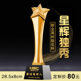 星辉独秀  奖杯定制定做高档优秀员工奖品创意金属奥斯卡小金人冠军奖杯刻字