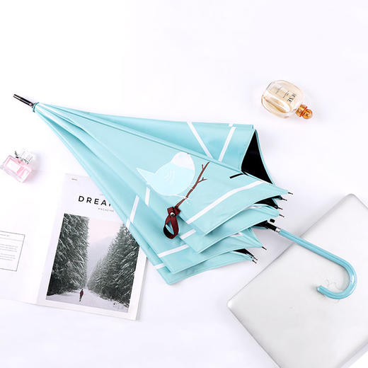 希岸知更鸟PU皮把手晴雨直伞 商品图4