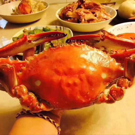 【预定款鲜货】舟山梭子蟹流网蟹，包鲜不包活，味道鲜肥美，想吃的下单预定 商品图6