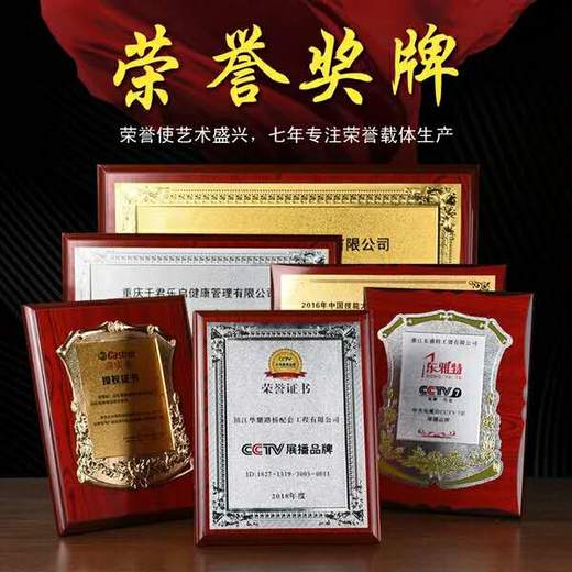 金箔奖牌授权牌荣誉牌牌匾定做制作木托铜牌木质证书代理奖牌定制 商品图0