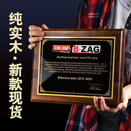 实木奖牌定制木质经销商加盟授权牌证书定做木托聘书荣誉牌匾刻字 商品图0