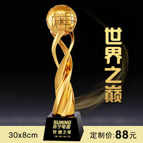 世界之巅  奖杯定制定做高档优秀员工奖品创意金属奥斯卡小金人冠军奖杯刻字