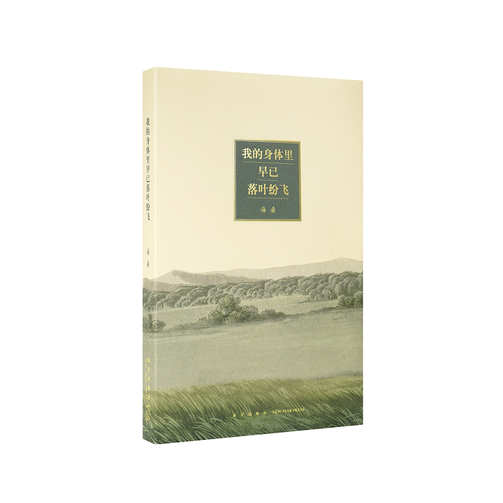 《我的身体里早已落叶纷飞》海桑诗集 读库出品 迷你袖珍口袋书