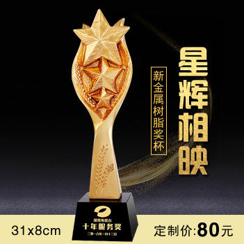 星辉相映  奖杯定制定做高档优秀员工奖品创意金属奥斯卡小金人冠军奖杯刻字 商品图0