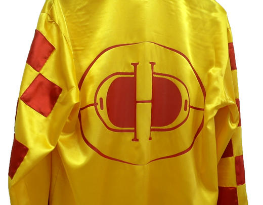 赛马彩衣 优质面料 手工制作 提供原创设计 3件起做 可定制DLM 商品图1