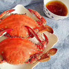 【预定款鲜货】舟山梭子蟹流网蟹，包鲜不包活，味道鲜肥美，想吃的下单预定 商品缩略图8