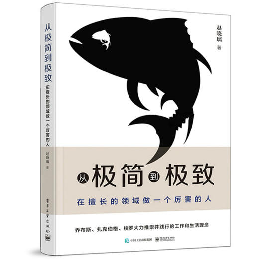 从极简到极致：在擅长的领域做一个厉害的人 商品图0