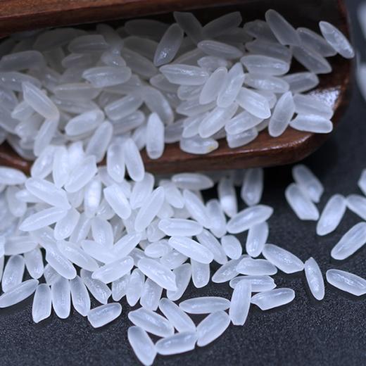 溢田东北五常大米5kg黑龙江大米【厂家直供】 商品图3