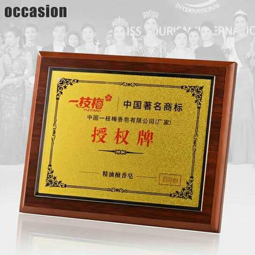 金箔奖牌授权牌荣誉牌牌匾定做制作木托铜牌木质证书代理奖牌定制 商品图0