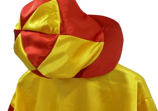 赛马彩衣 优质面料 手工制作 提供原创设计 3件起做 可定制DLM 商品图3