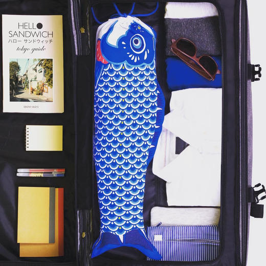 西班牙DOIY 创意文艺鲤鱼旗造型旅行李箱可挂脏衣袋收纳袋 商品图3