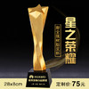 星之荣耀  奖杯定制定做高档优秀员工奖品创意金属奥斯卡小金人冠军奖杯刻字 商品缩略图0