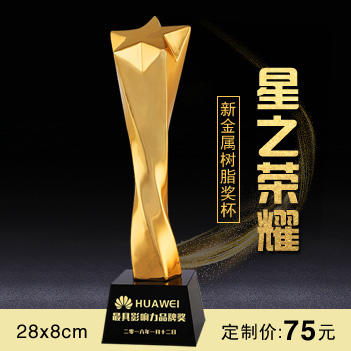 星之荣耀  奖杯定制定做高档优秀员工奖品创意金属奥斯卡小金人冠军奖杯刻字 商品图0