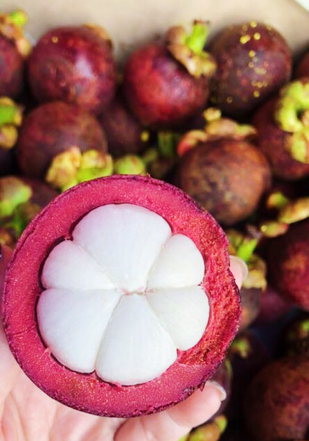 特惠泰国空运大山竹品质非常棒的新鲜山竹叶瓣青绿果