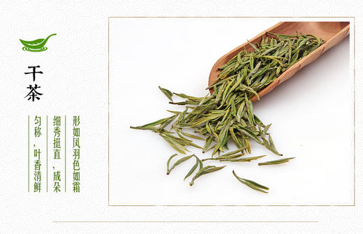 龙王山安吉白茶正宗明前茶大龙王礼盒装精品茶叶200g 商品图11