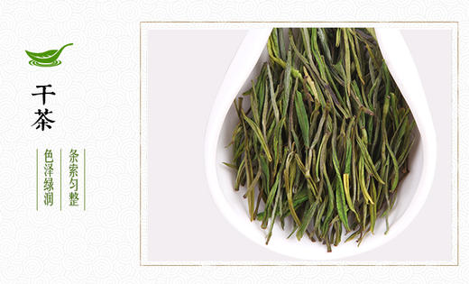 龙王山安吉白茶100克袋装 雨前二级绿茶春茶 原产地 商品图3