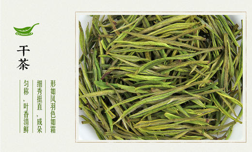 龙王山 • 安吉白茶君子 • 竹礼盒105g 商品图3