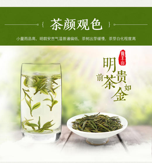 龙王山100g安吉白茶君子兰礼盒系列正宗特级罐装茶叶 商品图2