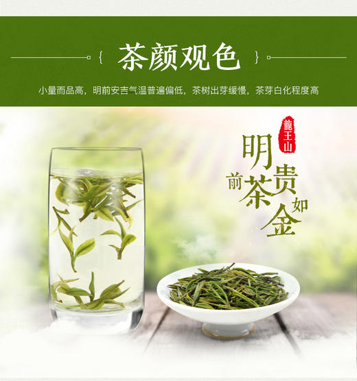龙王山安吉白茶正宗明前茶礼盒装（梅）红色精品茶叶100g 商品图2